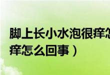 腳上長(zhǎng)小水泡很癢怎么解決（腳上長(zhǎng)小水泡很癢怎么回事）