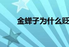 金蟬子為什么貶下界（金蟬子是誰）
