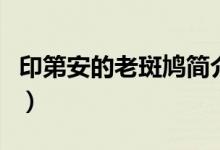 印第安的老斑鳩簡介（印第安的老斑鳩啥意思）