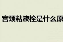 宮頸粘液栓是什么原因（宮頸粘液栓是什么）