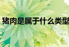 豬肉是屬于什么類型的（豬肉是屬于發(fā)物嗎）