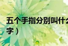 五個(gè)手指分別叫什么（五個(gè)手指分別叫什么名字）