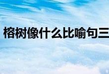 榕樹像什么比喻句三個(gè)(榕樹像什么比喻句)