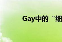 Gay中的“細(xì)?！笔鞘裁匆馑迹?class=