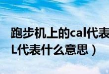 跑步機上的cal代表什么意思（跑步機上的CAL代表什么意思）