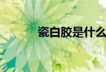 瓷白膠是什么（瓷白膠是什么）