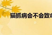 貓抓病會不會致命（貓抓病會致死嗎）
