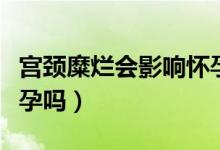 宮頸糜爛會影響懷孕初期（宮頸糜爛會影響懷孕嗎）