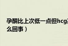 孕酮比上次低一點但hcg高了（孕酮比上次低但hcg高了怎么回事）
