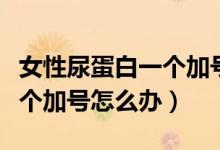 女性尿蛋白一個加號是腎病嗎（女性尿蛋白一個加號怎么辦）