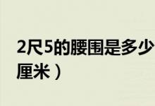 2尺5的腰圍是多少個(gè)XL(2尺5的腰圍是多少厘米)