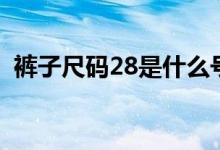 褲子尺碼28是什么號(hào)（褲子尺碼28是多大）