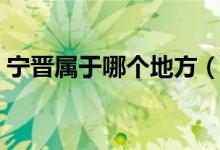 寧晉屬于哪個(gè)地方（寧晉是哪個(gè)地方的城市）
