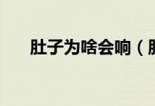 肚子為啥會響（肚子會響是怎么回事）