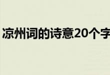 涼州詞的詩意20個字（涼州詞的詩意是什么）
