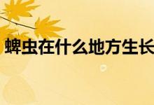 蜱蟲在什么地方生長(zhǎng)（蜱蟲在什么地方最多）