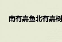南有嘉魚(yú)北有嘉樹(shù)（南有嘉魚(yú)什么意思）