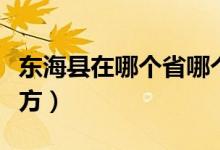 東海縣在哪個(gè)省哪個(gè)市（山東東?？h是什么地方）