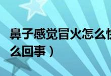 鼻子感覺(jué)冒火怎么快速解決（鼻子感覺(jué)冒火怎么回事）