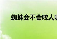 蜘蛛會(huì)不會(huì)咬人呢（蜘蛛會(huì)不會(huì)咬人）