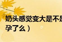 奶頭感覺(jué)變大是不是懷孕了(奶頭變大了是懷孕了么)