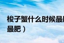 梭子蟹什么時候最肥4月份(梭子蟹什么時候最肥)