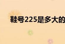 鞋號225是多大的（鞋號225是多少碼）
