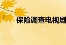 保險(xiǎn)調(diào)查電視?。ūｋU(xiǎn)調(diào)查員結(jié)局）
