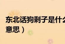 東北話狗剩子是什么意思（東北話狗剩子什么意思）