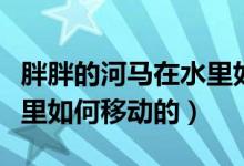 胖胖的河馬在水里如何行走（胖胖的河馬在水里如何移動(dòng)的）