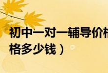 初中一對(duì)一輔導(dǎo)價(jià)格南京（初中一對(duì)一輔導(dǎo)價(jià)格多少錢）