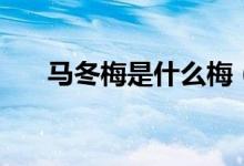馬冬梅是什么梅(馬冬梅是什么電影)