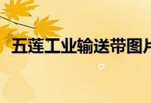 五蓮工業(yè)輸送帶圖片（網絡gy是什么意思）
