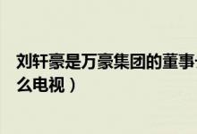 劉軒豪是萬豪集團的董事長嗎（萬豪集團董事長劉軒豪是什么電視）