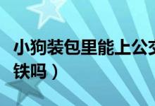 小狗裝包里能上公交車嗎（小狗裝包里能上地鐵嗎）