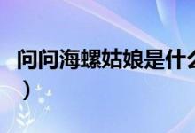 問問海螺姑娘是什么梗（海螺姑娘是個(gè)什么梗）