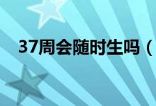37周會隨時生嗎（37周是不是隨時會生）