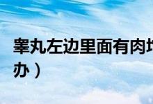 睪丸左邊里面有肉坨（睪丸上面有個肉坨怎么辦）