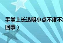 手掌上長(zhǎng)透明小點(diǎn)不疼不癢（手指長(zhǎng)透明小點(diǎn)不痛不癢怎么回事）