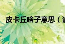 皮卡丘啥子意思（請問皮卡丘是什么意思）