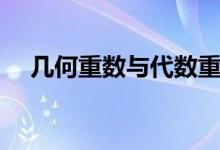 幾何重?cái)?shù)與代數(shù)重?cái)?shù)怎么求（幾何重?cái)?shù)）