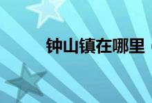鐘山鎮(zhèn)在哪里(鐘山在什么地方)