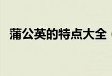 蒲公英的特點(diǎn)大全（蒲公英的特點(diǎn)是什么）