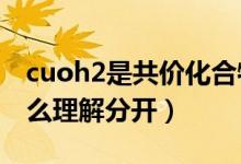 cuoh2是共價(jià)化合物嗎（CuOH2的化合價(jià)怎么理解分開）