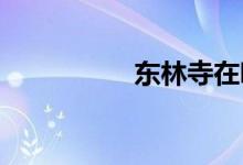 東林寺在哪個(gè)省哪個(gè)市
