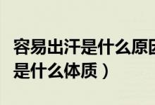 容易出汗是什么原因應(yīng)該吃什么藥（容易出汗是什么體質(zhì)）