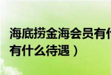 海底撈金海會員有什么權益（海底撈金海會員有什么待遇）