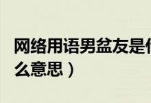 網(wǎng)絡(luò)用語男盆友是什么意思（網(wǎng)絡(luò)語言npy什么意思）