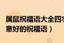 屬鼠祝福語(yǔ)大全四字成語(yǔ)（鼠的四字吉祥語(yǔ)寓意好的祝福語(yǔ)）