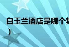 白玉蘭酒店是哪個(gè)集團(tuán)的（白玉蘭酒店幾星級）